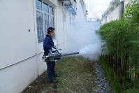Bee Pest Control Adelaide image 6